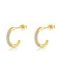 Earrings Iconic Hoops s925 - Dahlia