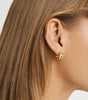 Earrings Marilyn's Classic Hoops  in gold and silver - Burton